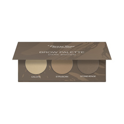 PIERRE RENE Brow Palette paletka cieni do brwi - 02 Dark brown